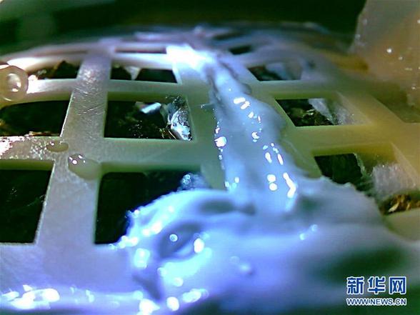 【新华网】嫦娥四号生物科普试验载荷中的棉花种子发芽