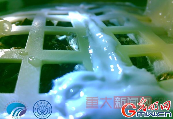 【光明网】月面第一株嫩芽！重庆大学牵头完成人类首次月面生物实验