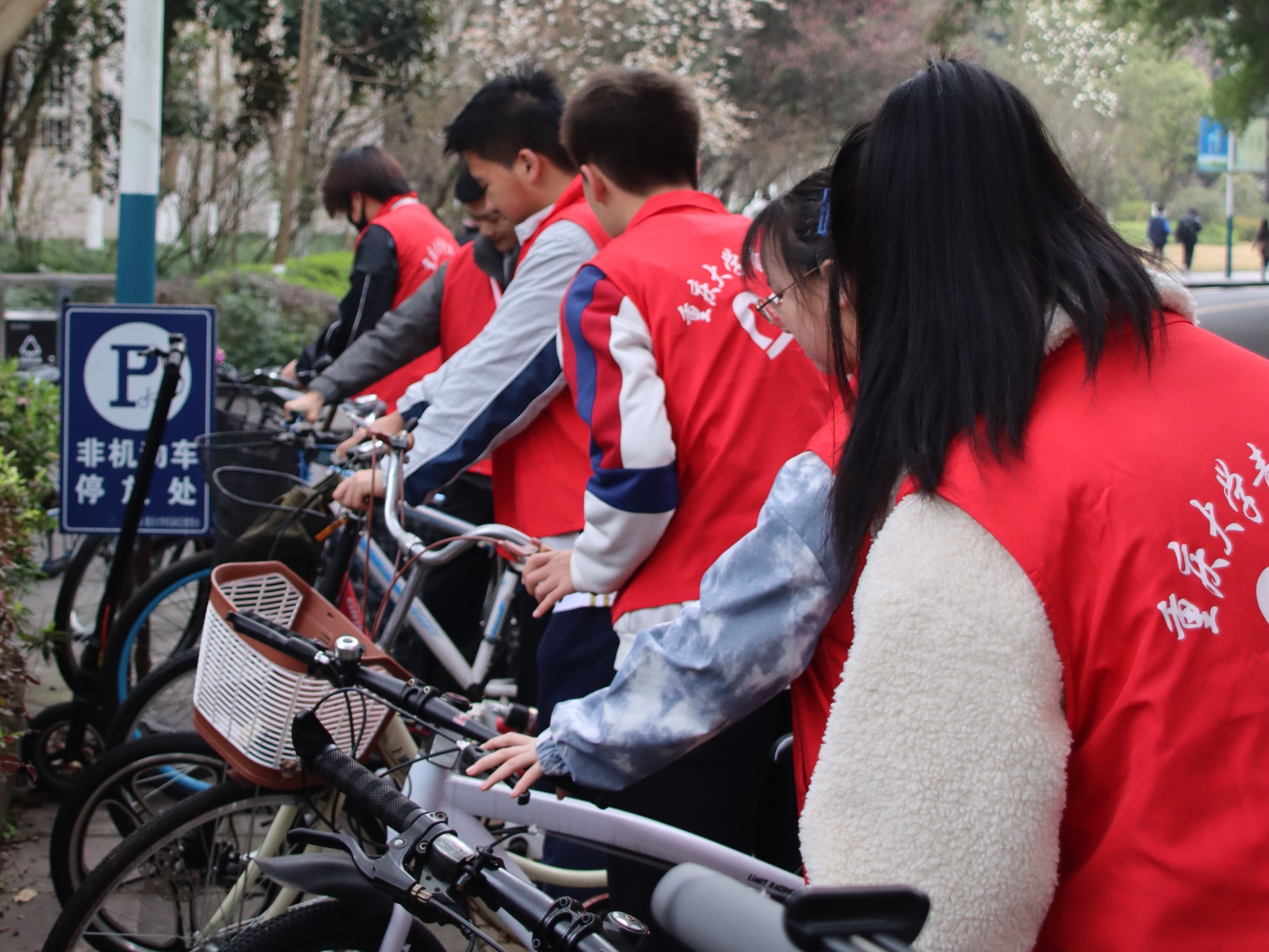 志愿者们在排放自行车.jpg