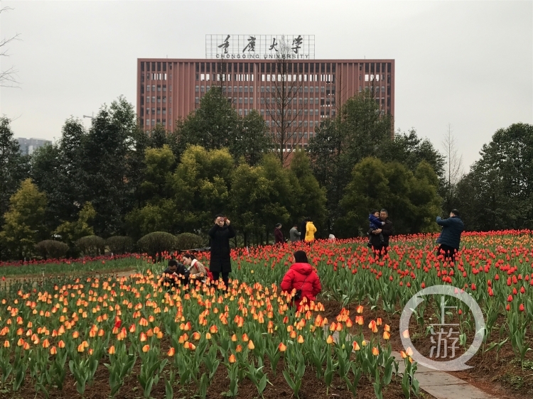 虎溪5_副本.jpg