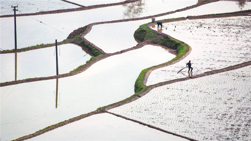 1588429395175855.jpg 6.jpg