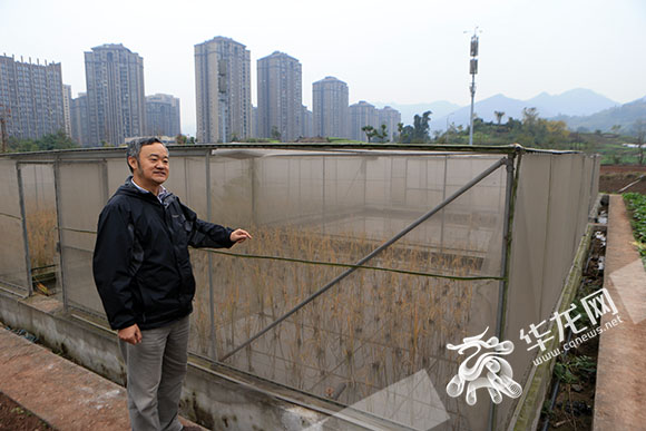 1513302949982274.jpg 0004.jpg