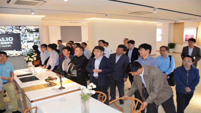 图3.专家团在金牌厨柜实地考察_meitu_3.jpg