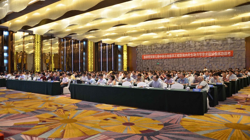 大会现场.jpg