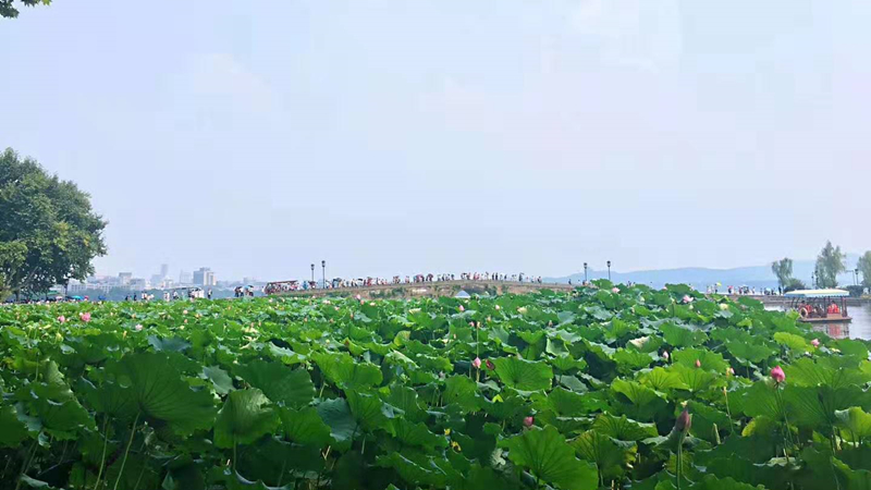 西湖.jpg