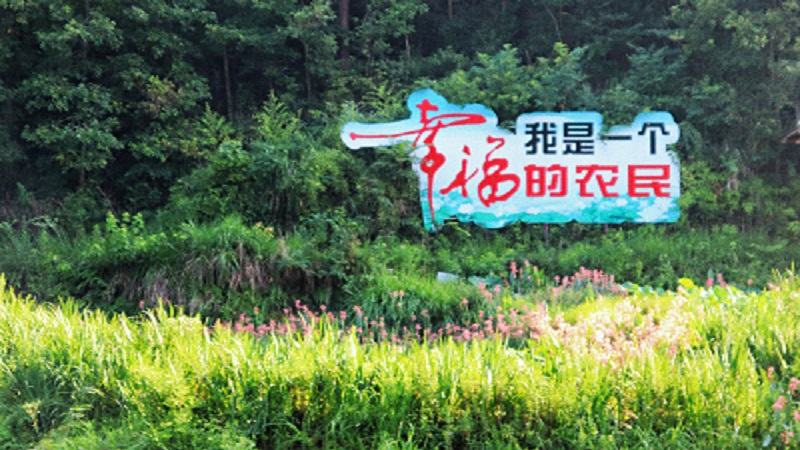 图片八.jpg