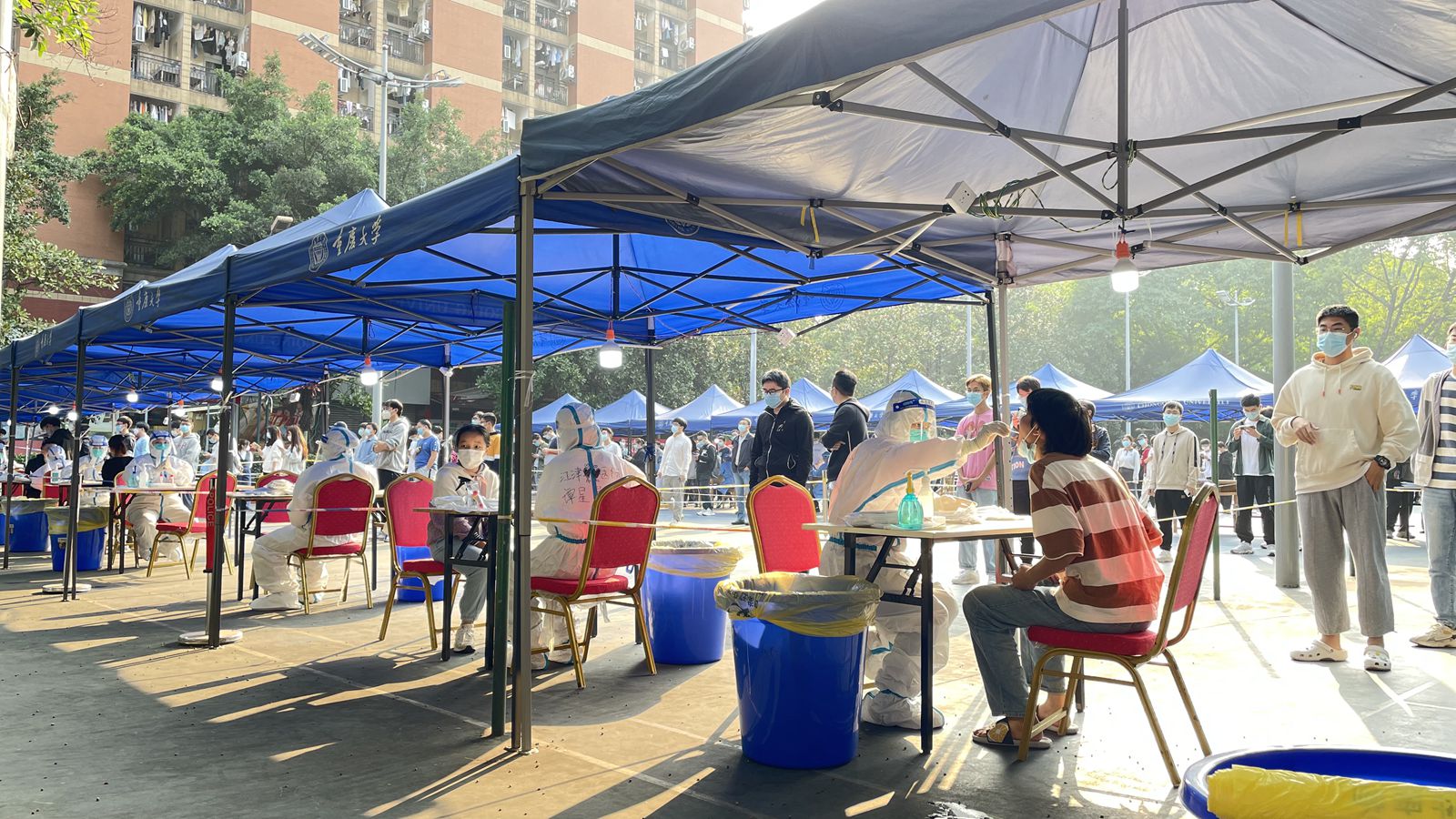 1668137201310025.jpg 微信图片_20221111112549_副本.jpg