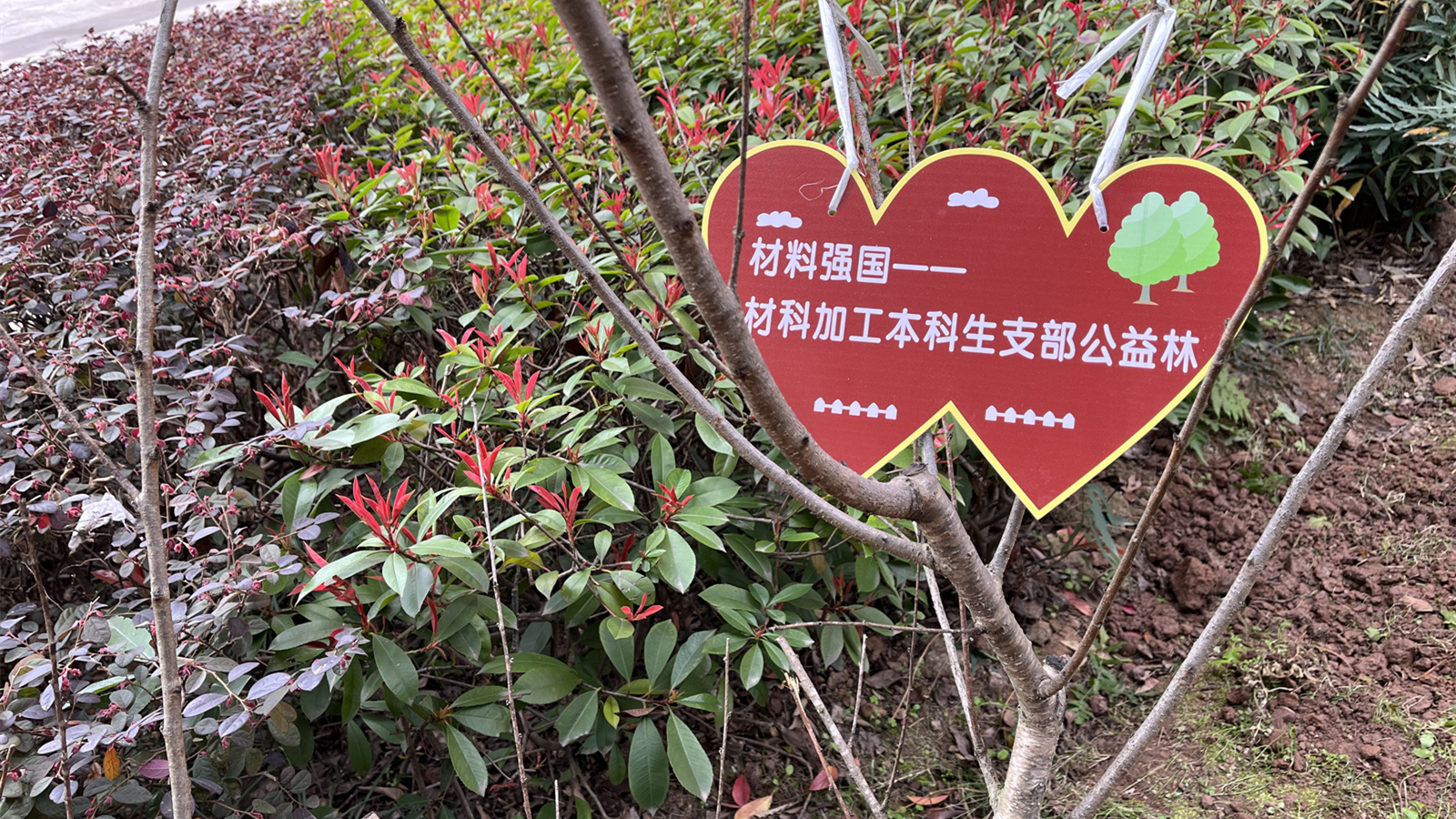 微信图片_20230313163608_副本.jpg