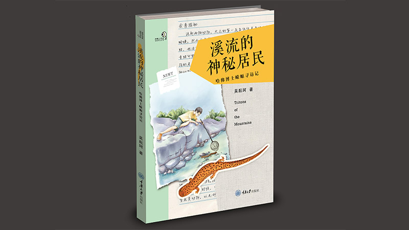 溪流的神秘居民 效果图.jpg