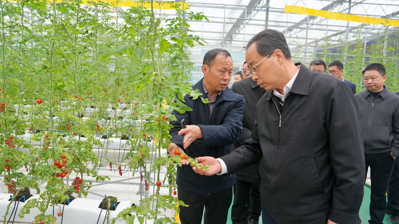 1701656202426943.jpg WechatIMG78_副本.jpg