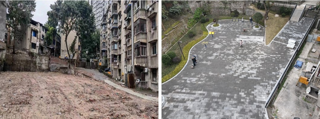 柏树林.jpg