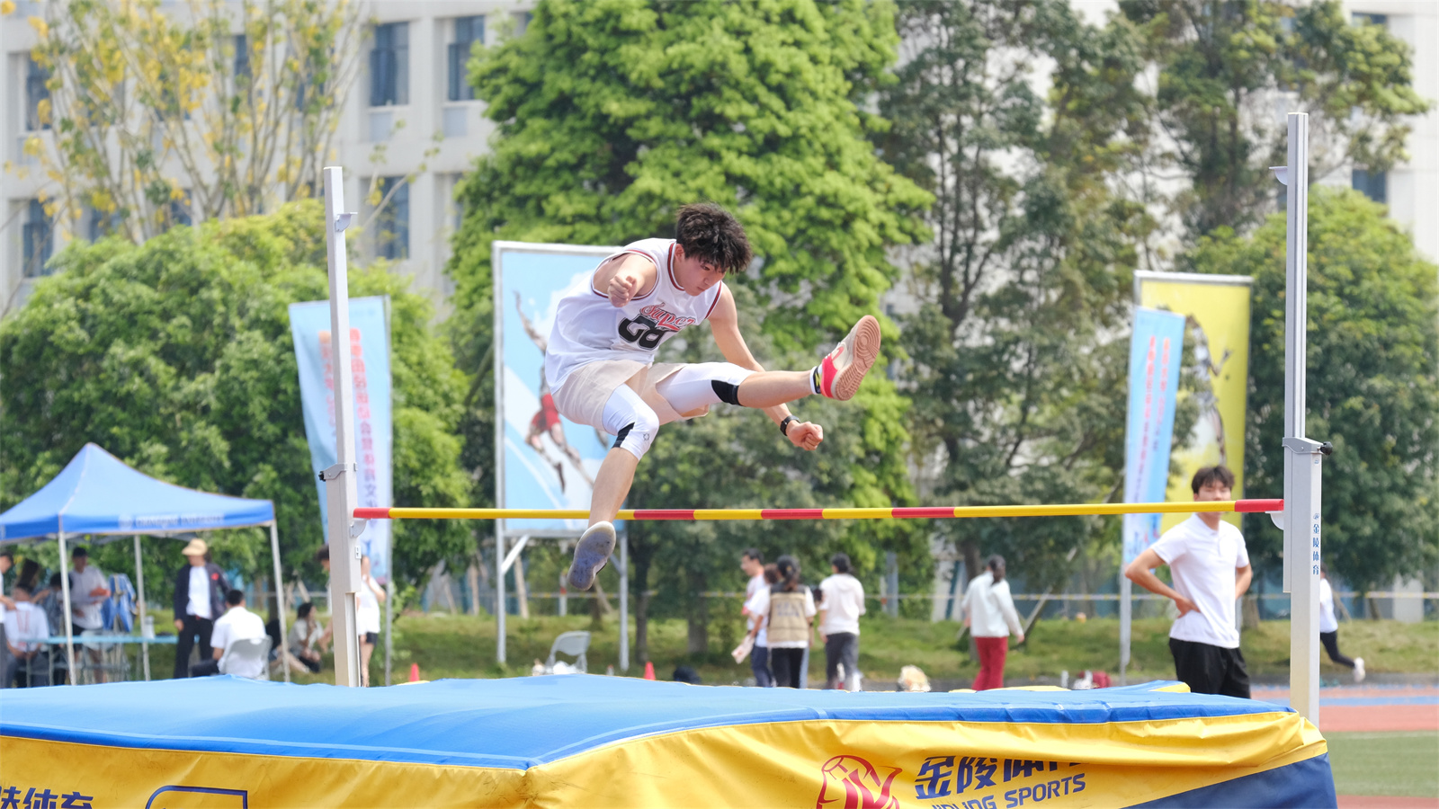 1713146484169104.jpg WechatIMG2064.jpg