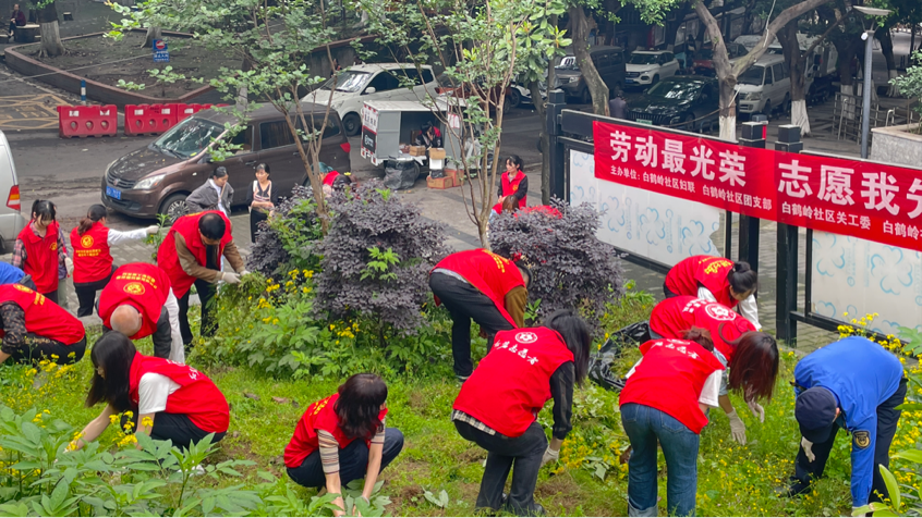 绿意盎然2.png
