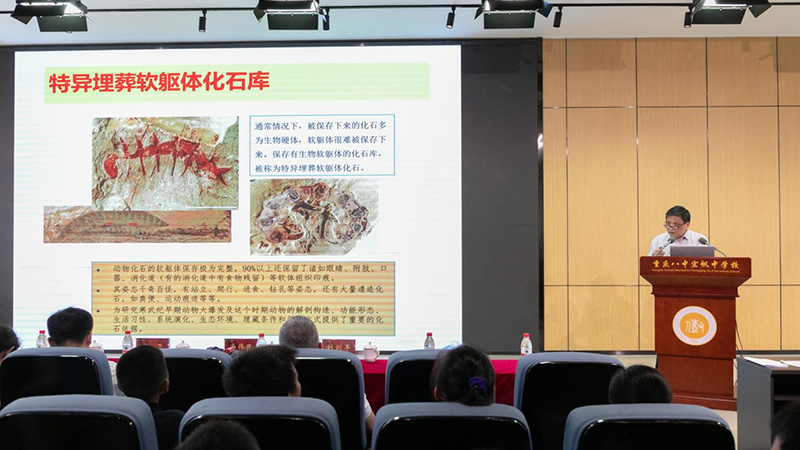 1图片 4.jpg
