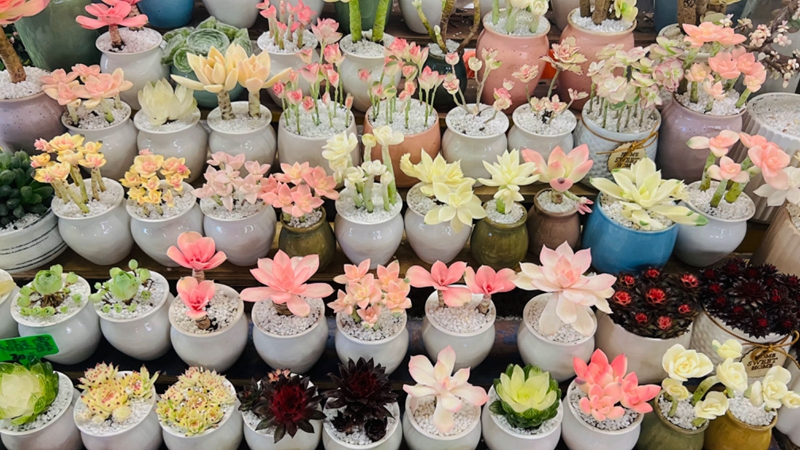 鲜花.jpg