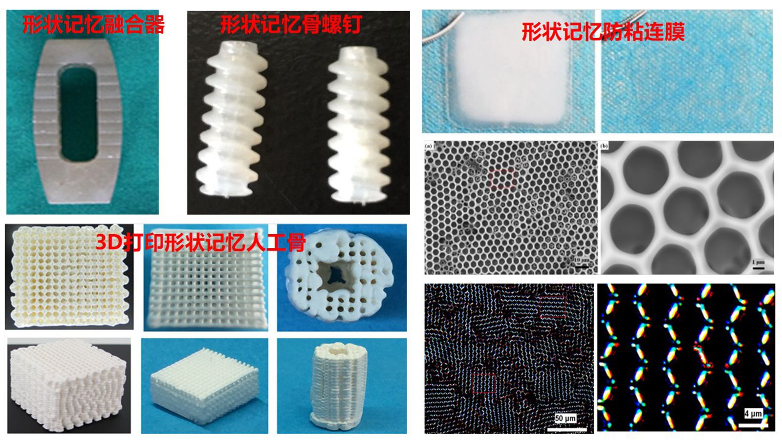 1725357178190489.jpg 1725356085253875_副本.jpg