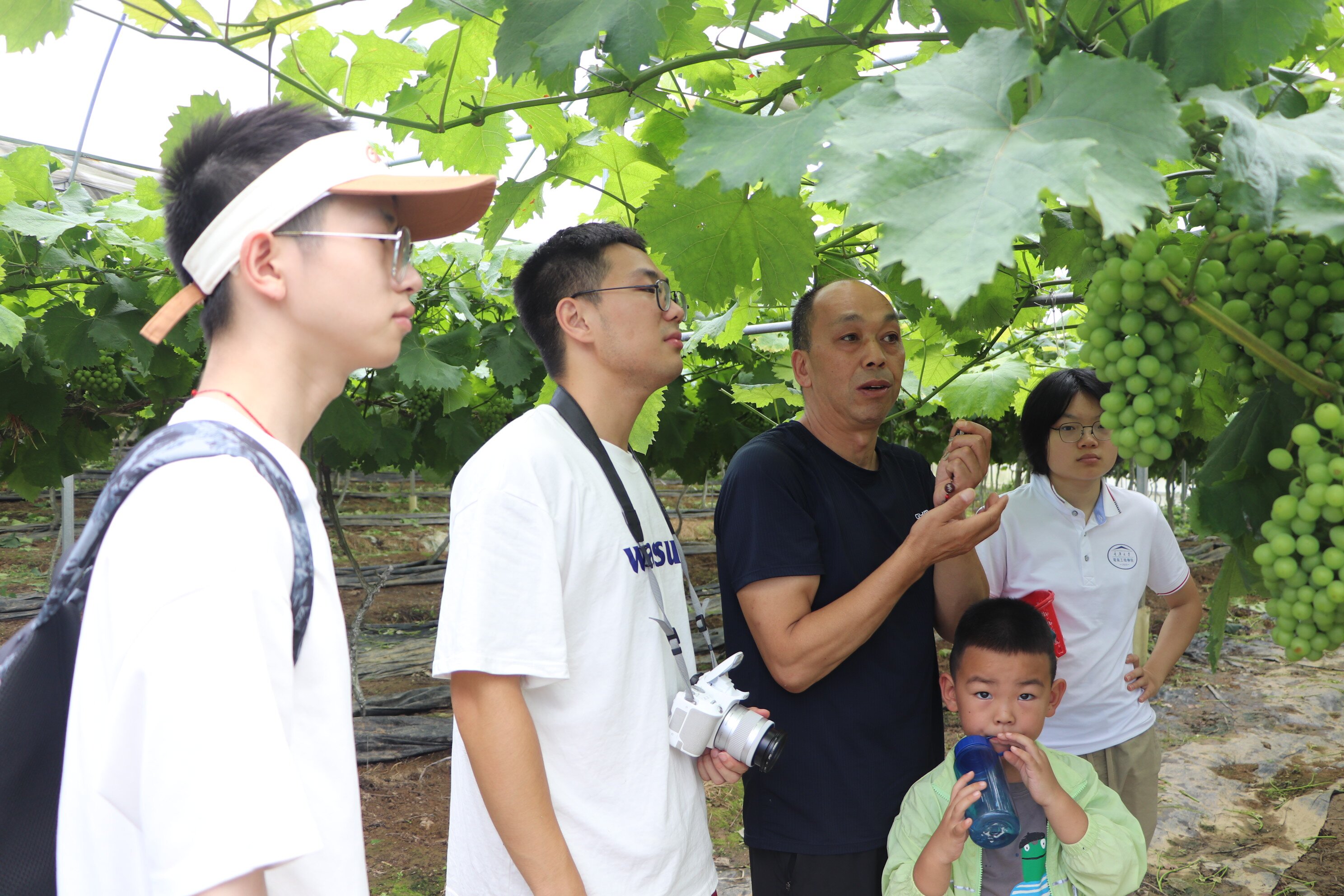 团队成员在“七彩果苑”葡萄种植基地调研.jpg