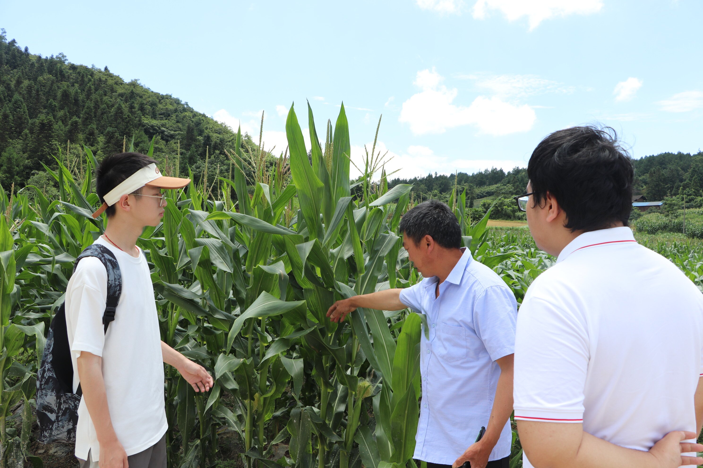 实践团成员调研沙坝田园概况.jpg