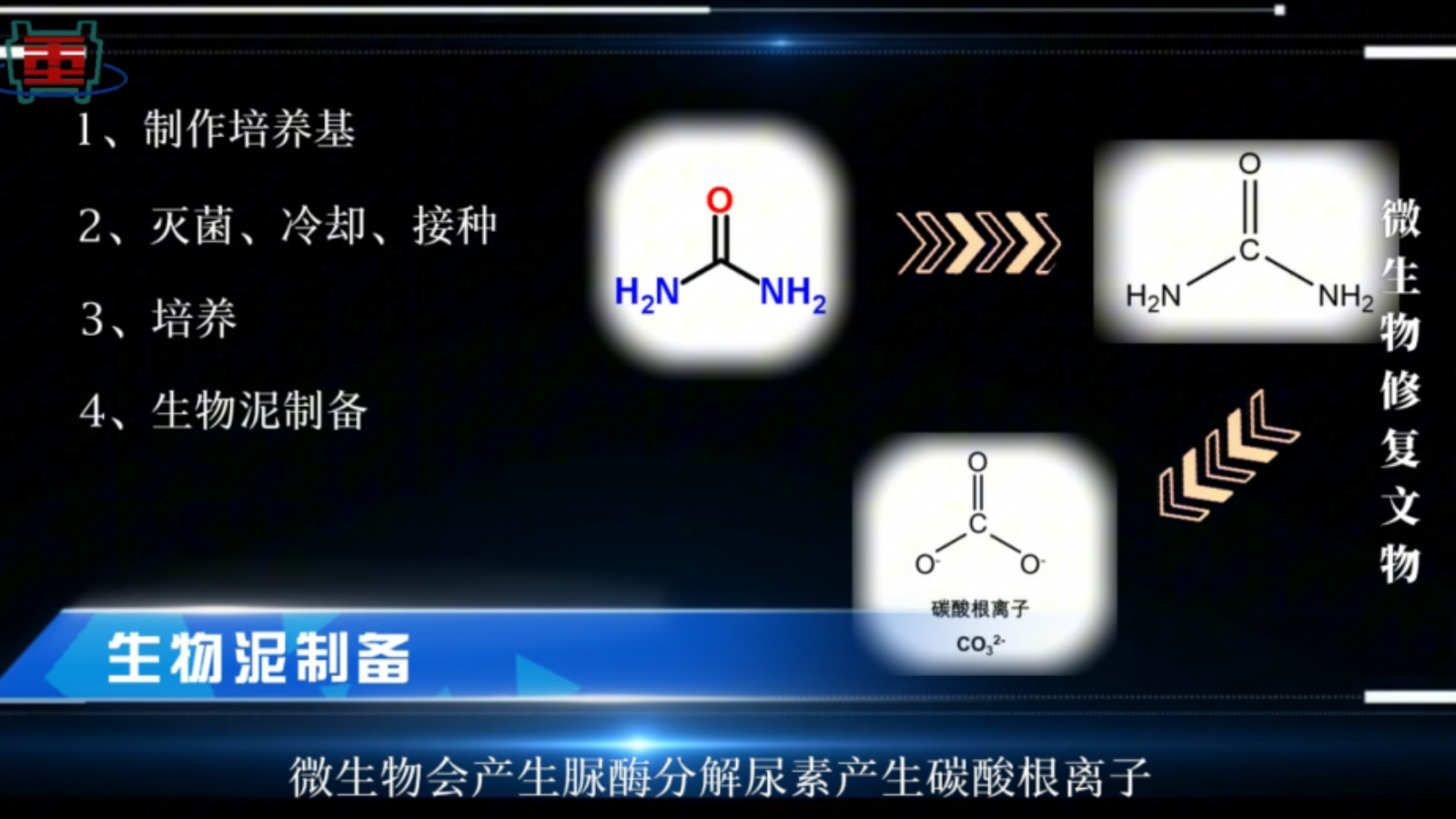 默认标题__2024-08-28+20_31_43.jpg