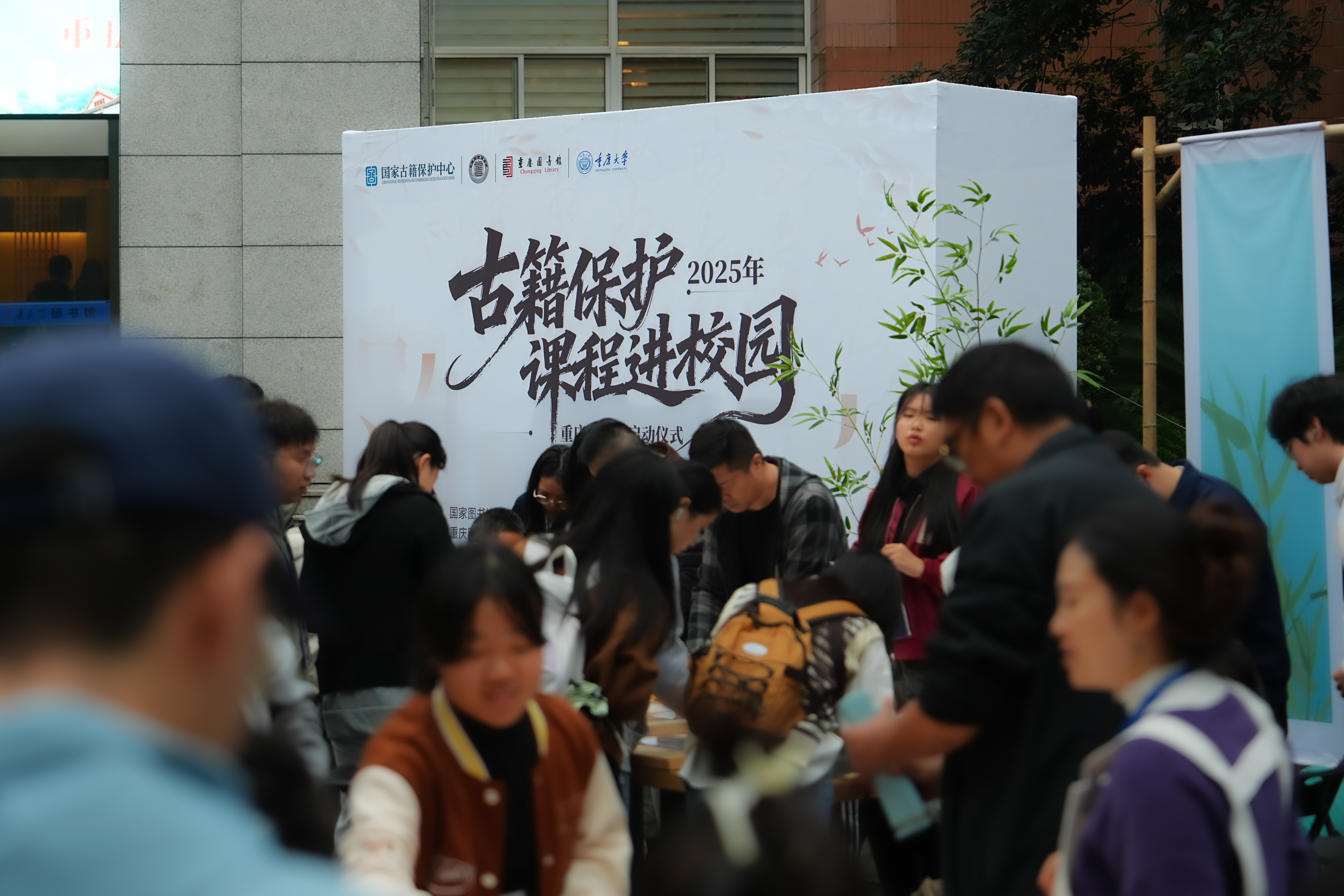 1763028166908419.jpg 20251106-DSC07153.jpg