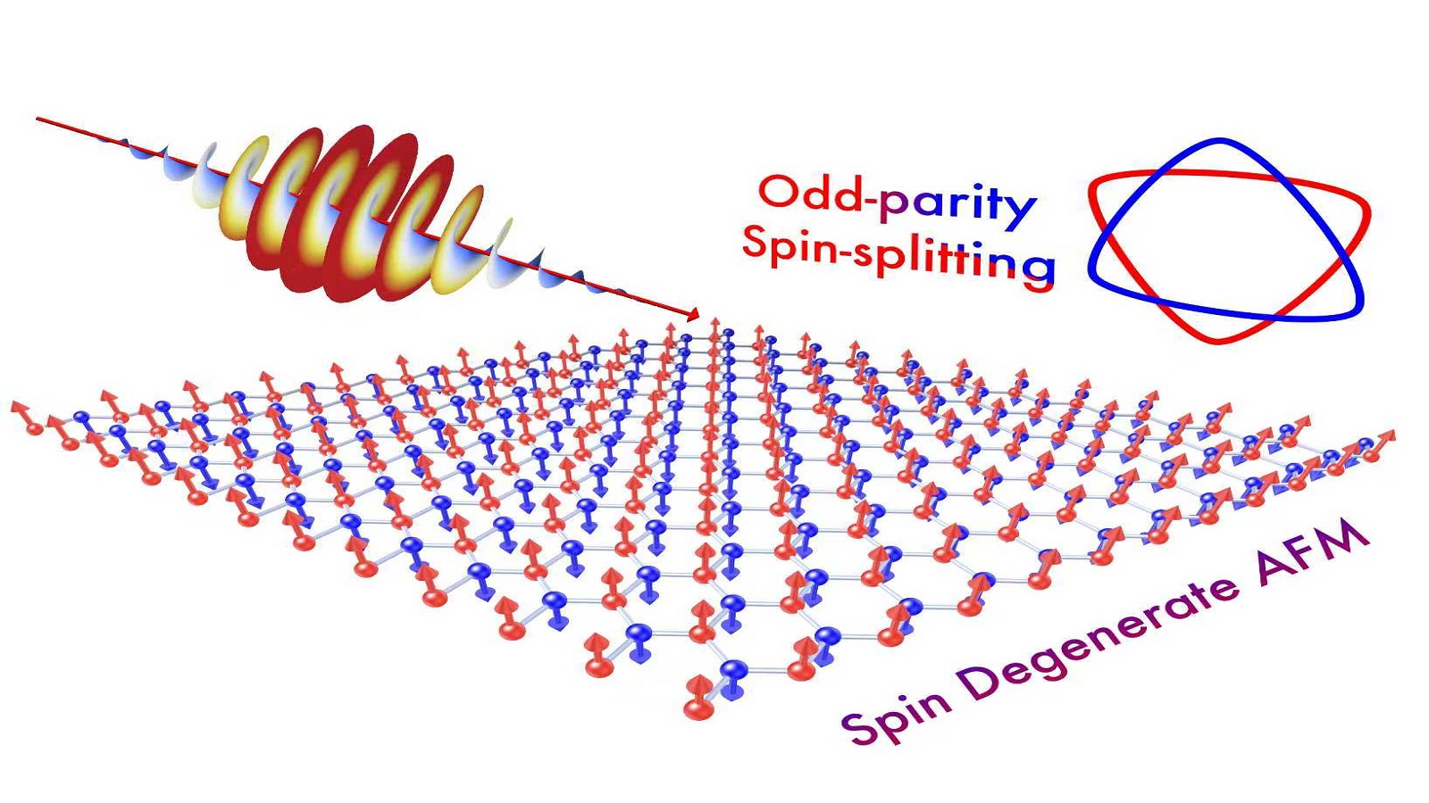 1775007906277025.jpg 1774833889612539.jpg